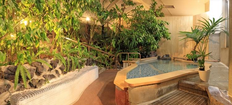 柿野温泉 八胜园汤元馆(Hasshoen Yumotokan)图片