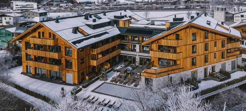 泽尔湖元素度假村(Elements Resort Zell am See)图片