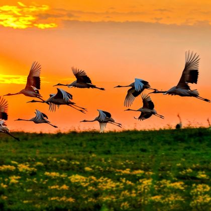 哈尔滨+伊春+五大连池市+齐齐哈尔+大庆6日5晚跟团游