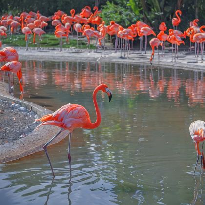 美国10日8晚私家团