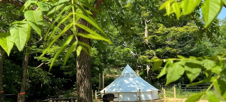 历史悠久的劳雷尔高地经营中的农场内帆布钟形帐篷(Canvas Bell Tent on Working Farm in Historic Laurel Highlands)图片