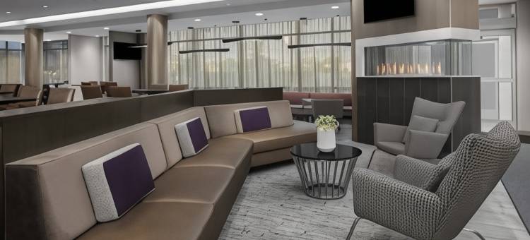 SpringHill套房由万豪酒店 东拉瑟福德梅多兰/卡尔斯塔特(SpringHill Suites East Rutherford Meadowlands/Carlstadt)图片
