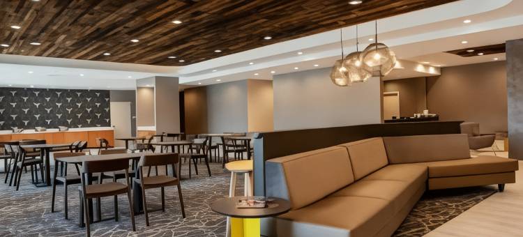 切斯特SpringHill Suites酒店(SpringHill Suites Chester)图片