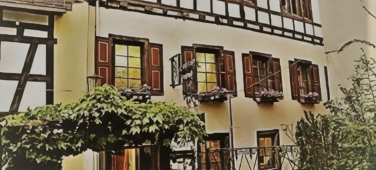 洛斯菲彻精品酒店(Boutique Hotel Lohspeicher 1839)图片