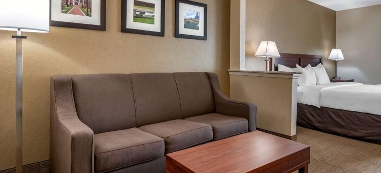 舒适套房酒店-近迪兰大学(Comfort Inn & Suites DeLand - Near University)图片