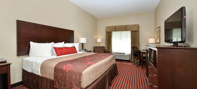 路易莎贝斯特韦斯特优质酒店(Best Western Plus Louisa)图片