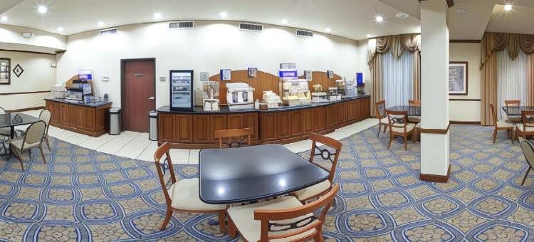 智选假日套房酒店谢尔曼HWY 75(Holiday Inn Express & Suites Sherman Hwy 75)图片