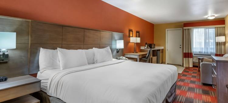 舒适酒店-费拉格尔斯塔夫幸运巷I-40(Comfort Inn Flagstaff Lucky Lane I-40)图片