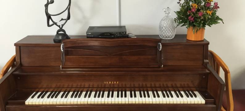 温德姆豪生酒店阿尔伯克基桑迪亚峰老城(Sandia Peak Inn Old Town ABQ, a Howard Johnson by Wyndham)图片