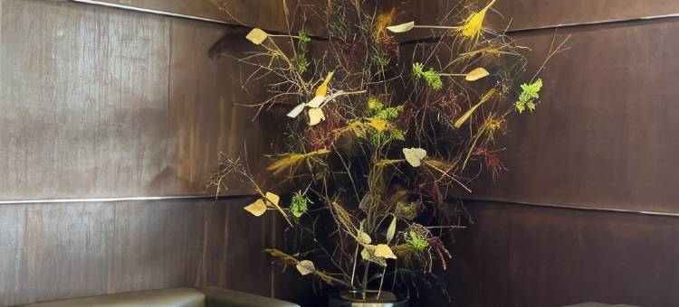 娜兰纪念碑丝绸酒店(Silken Monumental Naranco)图片