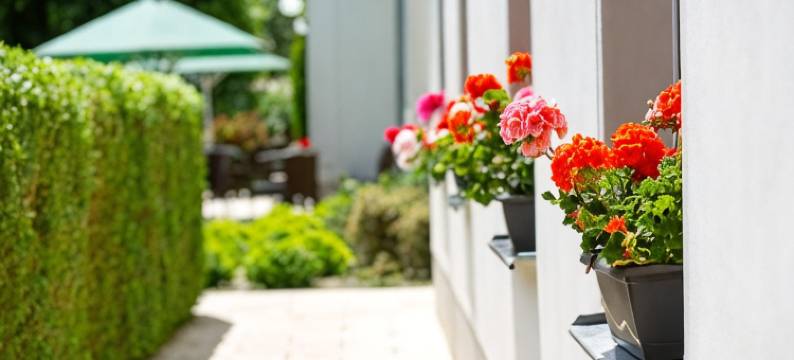 维尔德咖啡餐厅健康酒店(Café Wildau Hotel & Restaurant am Werbellinsee)图片