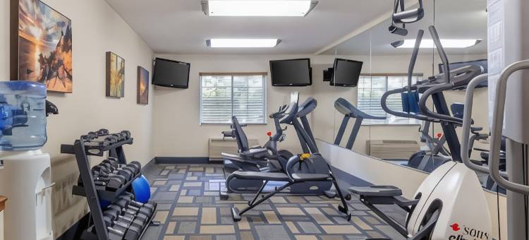 伯克希尔山贝斯特韦斯特优质套房酒店(Best Western Plus Berkshire Hills Inn  Suites)图片