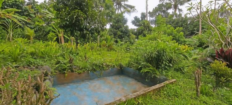 O酒店佳蒂民宿-近苏拉纳迪公园(Hotel O Jati Homestay Near Taman Suranadi)图片