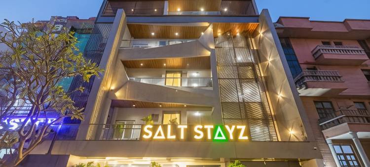 盐住高级酒店 - 西维哈尔(Saltstayz Premier - Paschim Vihar)图片