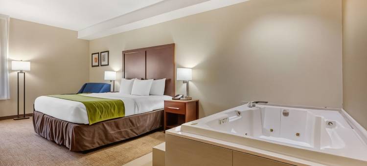 舒适酒店勒诺城-诺克斯维尔(Comfort Inn Lenoir City-Knoxville)图片