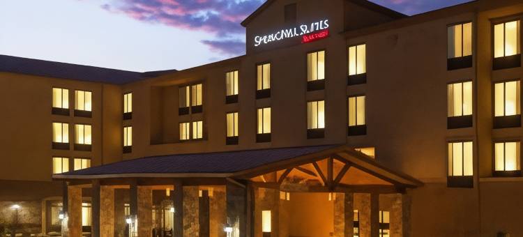 阿塔斯卡德罗SpringHill Suites酒店(SpringHill Suites Paso Robles Atascadero)图片