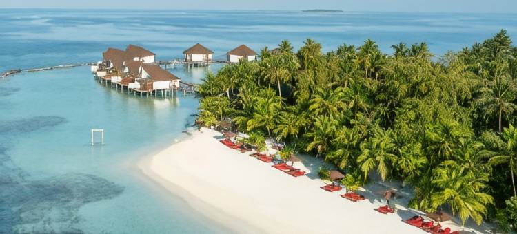 马尔代夫Ellaidhoo岛-由Cinnamon运营(Ellaidhoo Maldives by Cinnamon)图片