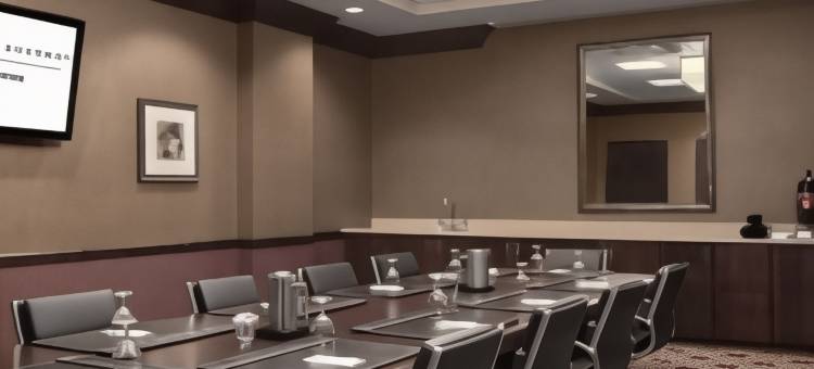 圣路易斯市中心希尔顿安泊酒店(Embassy Suites by Hilton St. Louis Downtown)图片