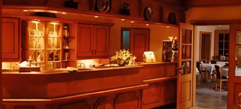 海尔姆斯兰德酒店(Landhotel Helms)图片