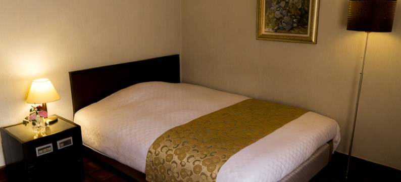 东京城市酒店(Hotel Urban)图片