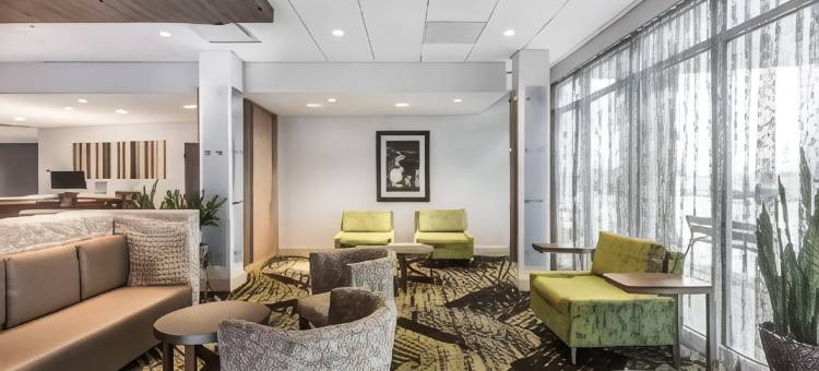 韦兰智选假日套房酒店(Holiday Inn Express & Suites Welland)图片