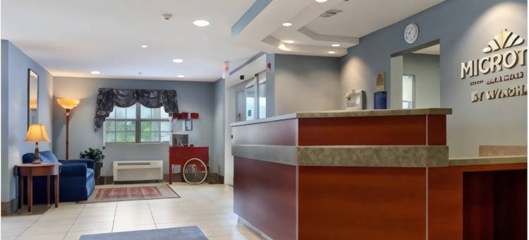 温德姆花园麦客达酒店(Microtel Inn & Suites by Wyndham Gardendale)图片