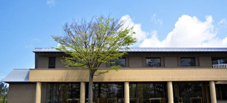 尤巴纳酒店(Hotel Yubana)图片