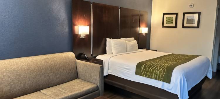 多森汽车旅馆(GuestHouse Inn Dothan)图片