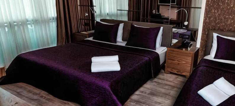 Atakum Palas Hotel图片