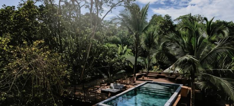 帕玛尔海滩小屋(Palmar Beach Lodge)图片