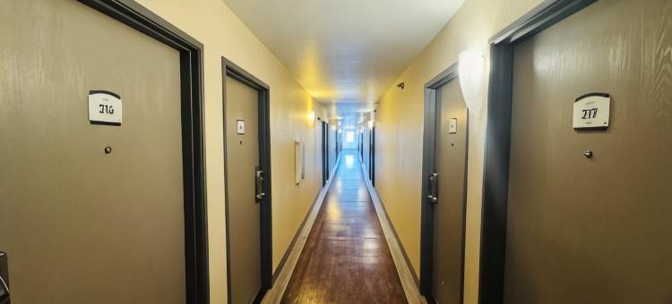 Baymont by Wyndham Sault Ste Marie MI图片
