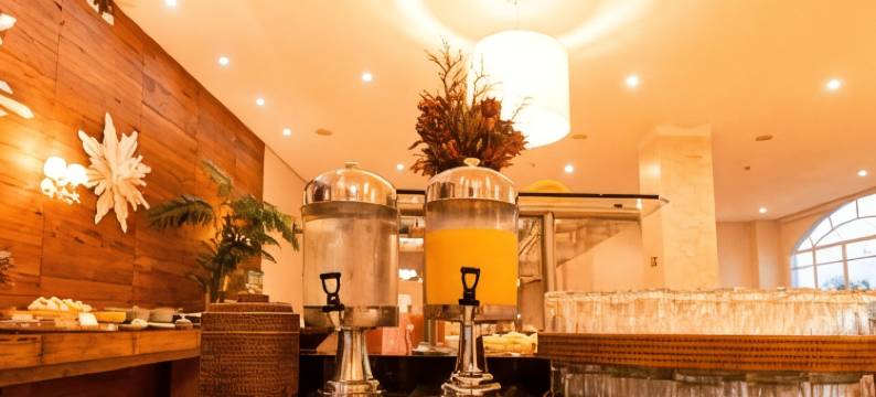 贝拉里奥皇宫酒店(Beira Rio Palace Hotel)图片