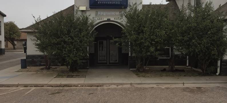 拉伯克, 德州-蓝帽花-医学中心套房酒店(Blue Bonnet Suites -Lubbock, TX - Medical Center)图片