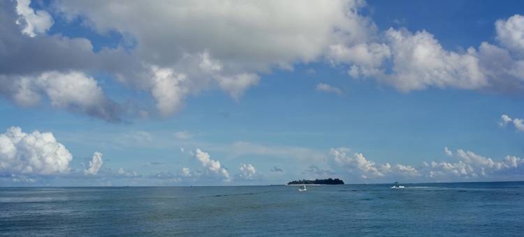 塞班小岛酒店(Island Hotel Saipan)图片