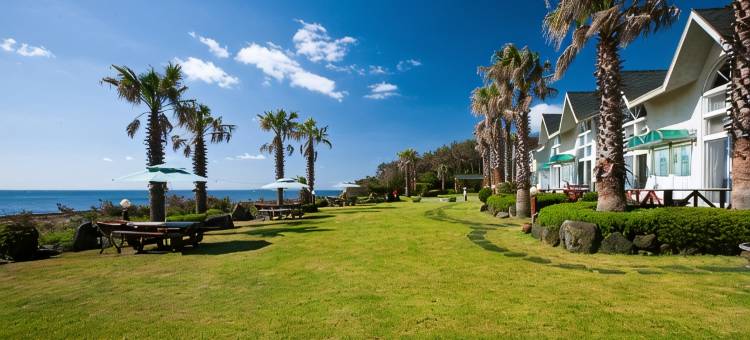 济州巴达漫步旅馆(Jeju Bada Walking Pension)图片