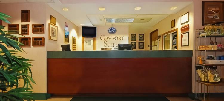 舒适套房酒店(Comfort Suites)图片