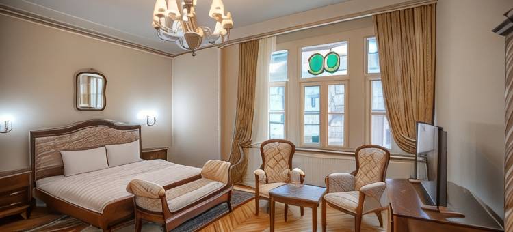 哥特公寓(Casa Gotica Residence)图片