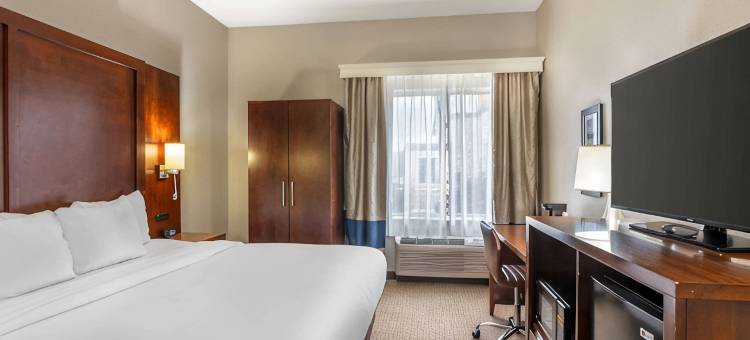 康威舒适套房酒店(Comfort Inn & Suites Conway)图片