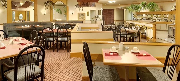 北哥伦布舒适套房酒店(Comfort Inn & Suites Columbus North)图片