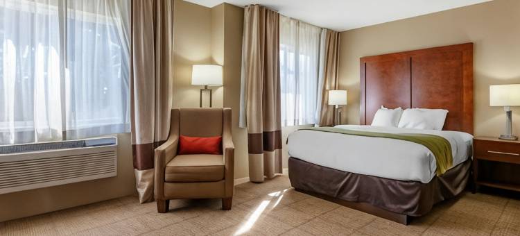 舒适酒店(Comfort Inn)图片