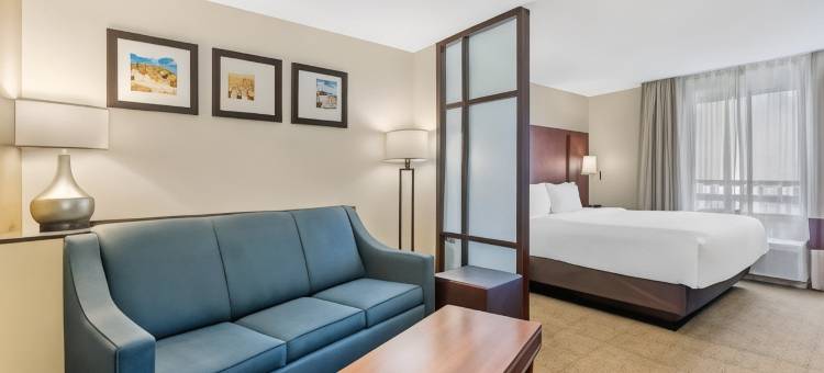 舒适套房酒店(Comfort Suites)图片