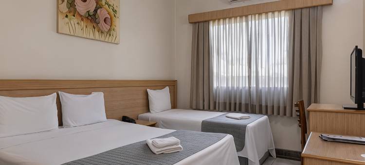 乌贝拉巴Dan Inn&会议中心国民酒店(Hotel Dan Inn Uberaba & Convenções by Nacional Inn)图片