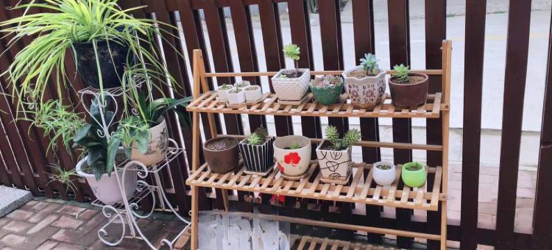 秦皇岛鸿儒阁宾馆图片