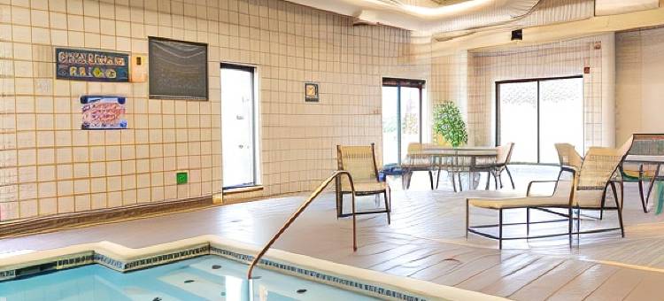 底特律诺维万豪德尔塔酒店(Delta Hotels Detroit Novi)图片