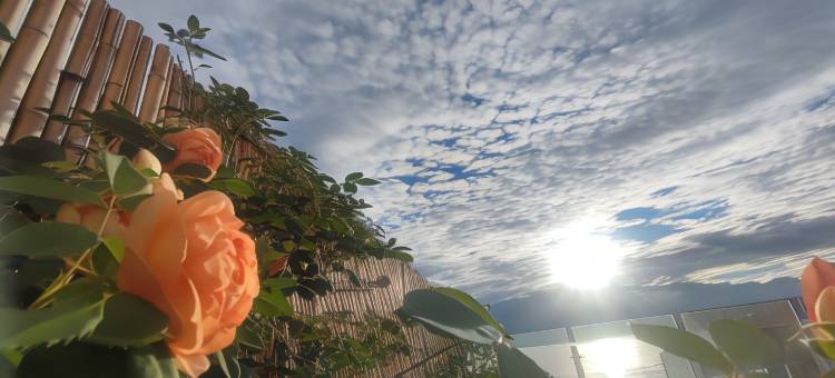 大理一夕一夏·甲马艺术海景民宿图片