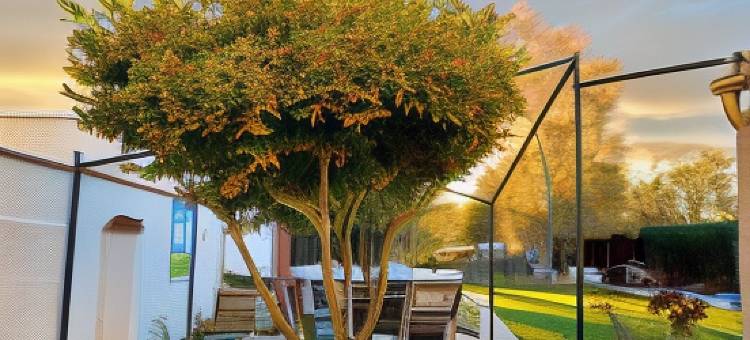 拉热诺蒂耶尔(La genotière)图片