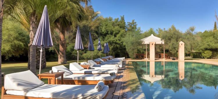 埃萨拉棕榈园别墅旅馆(Villa Al Assala Palmeraie)图片