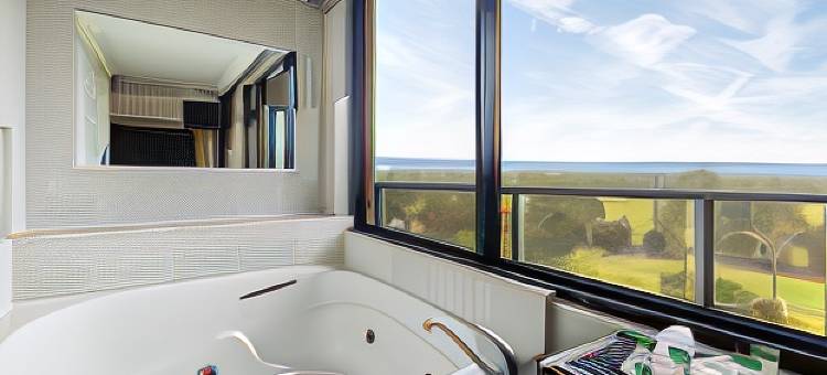 阿德莱德里吉斯酒店(Rydges South Park Adelaide, an EVT hotel)图片