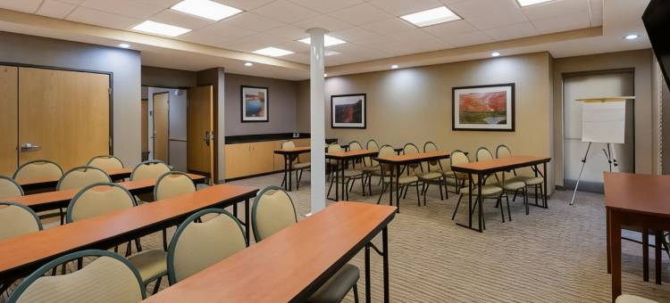 舒适套房酒店-埃尔帕索西(Comfort Suites El Paso West)图片