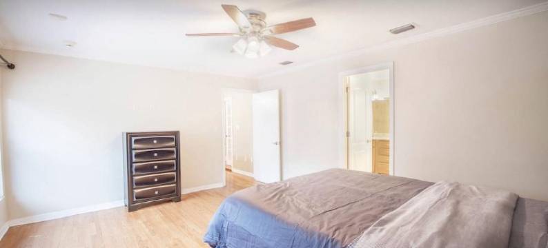 South Tampa Getaway图片